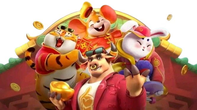 Bingo Patti Live Casino